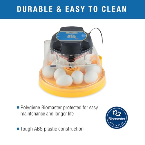 Brinsea Mini II Eco Manual Egg Incubator with External Water Top-Up, Fan Assisted Air Circulation for Hatching 10 Chicken, Duck, or Other Eggs, Ideal for Beginners - style: 10 Eggs