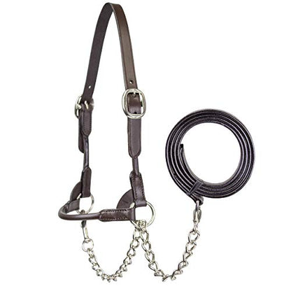 Derby Originals New and Improved Premium Round Rolled Leather Cattle Show Halter with Matching Chain Lead - color: Havana, size: Small (350-700lbs)