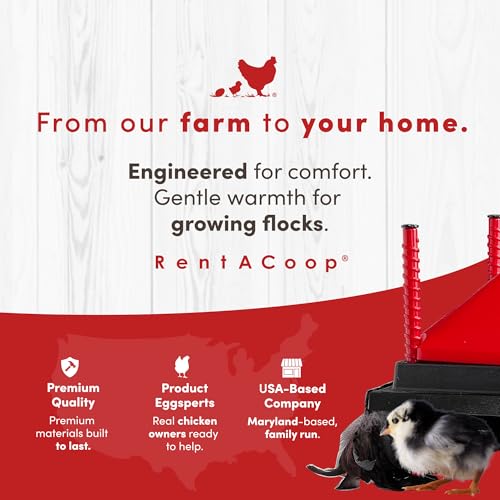 RentACoop 12x12” Adjustable Heating Plate with Hard Anti-Roost Cone Set and Removable Comfort Feathers - Chick Brooder Heat Plate Warms Up to 20 Chicks – Energy Efficient - Safer Than Heat Lamps
