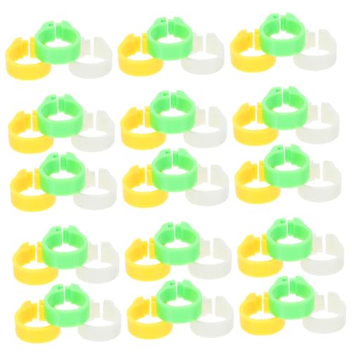 BESPORTBLE 300pcs Pigeon Foot Plastic Bird Leg Bands for Poultry Identification Bright Colors for Easy Marking Suitable for Pigeons Chickens