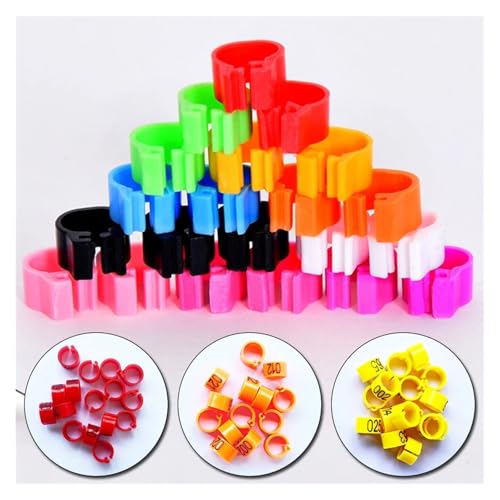 200 Pcs Birds Feet Clip Rings Inner Diameter 8mm Width 5mm 100Pcs Plastic Ring Pigeon Quail Foot Animal(A) - color: A