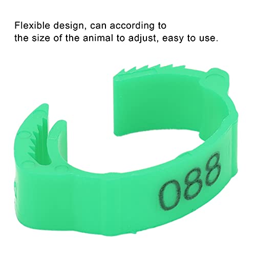 100Pcs Colorful Plastic Chicken Leg Buckle Rings, Retractable Poultry Identification Bands for Chicken Duck Bird, Safe and Material for Poultry Feeding Supplies (Green (100 Pieces per Pack)) - color: Green (100 pieces per pack)
