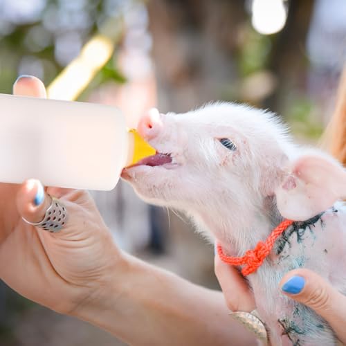 Sewroro 1 Set Lamb Milking Bottles and Goat Milk Bottles with Nipples, Plastic Livestock Feeding for Baby Goats and Small Animals, Farm Use