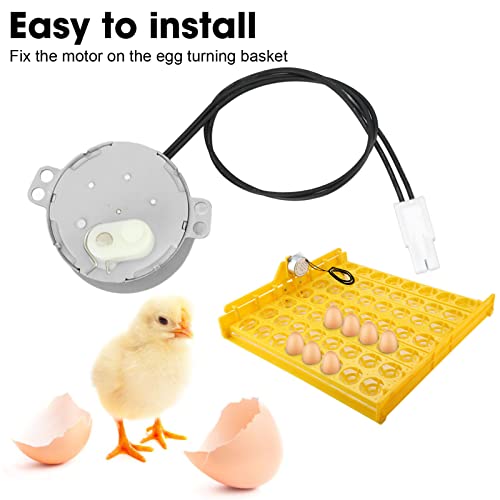 Egg Turnner Engine Replacement Egg Turner Motor 4W Turner Rotator Incubator for Chickens Ducks Goose Birds Egg (220-240v) - size: 220-240v