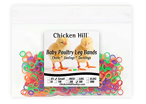 Baby Poultry Leg Bands Size 3 Small 3/16" - Bantam Chick - Call Duckling (500 Per Pack)