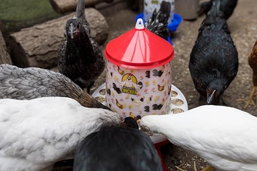 My Favorite Chicken 4kg Feeder & 5L Drinker with Legs - Large Chicken Feeder & Waterer, Floral Design, BPA-Free, Easy Clean, Blue