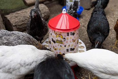 My Favorite Chicken 4kg Feeder & 5L Drinker with Legs - Large Chicken Feeder & Waterer, Floral Design, BPA-Free, Easy Clean, Blue