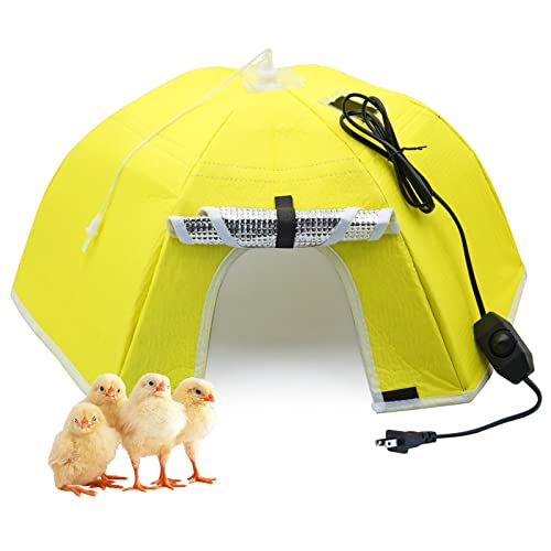 Large Chick Brooder Heating Plate Chick Brooder Box 21.6" Heat up to 50 Chicks, Chick Warmer Chicken Coop Heater Poultry Brooder for Chick Duckling Quail Goose Bird Hatchling