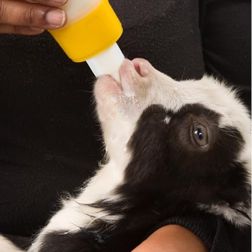 DOITOOL 10pcs Calf Feeder Nipples Rubber Nursing Bottle Nipples for Livestock Milk Feeding Supplies Cattle Feeding Tools Suitable for Young Animals