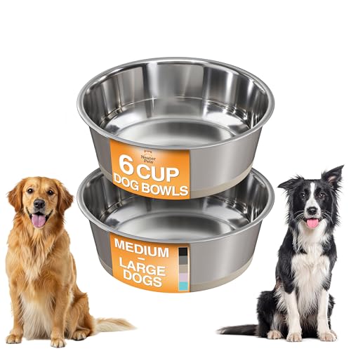 Neater Pet Brands Stainless Steel Dog Bowls with Non-Slip Rubber Bottom – Set of 2, 6 Cup (48 oz), Tan - Heavy Duty Metal Dog Bowl, Dishwasher Safe, Food or Water Bowl, Ideal for Large Dogs - color: Tan, size: 6 Cup (Set of 2)