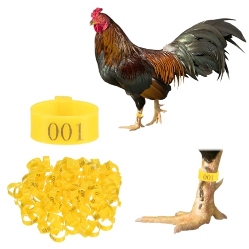 M METERXITY 100-Pack Chicken Leg Bands, 20 mm Plastic Poultry Identification Chicken Leg Rings for Turkey/Duck/Goose/Chicks, Colorful Numbered Foot Clip on Tags [Yellow] - color: Yellow, size: 2.7 x 2.7 x 1 cm / 1.06 x 1.06 x 0.4 in(L x W x H)