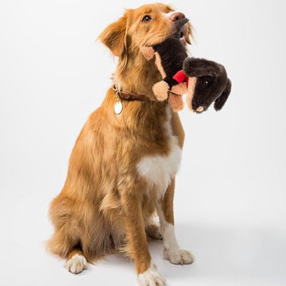 Fuzzl Eco Leather Natural and Tough Dog Toys - Long Lasting Chew Toys for Aggressive Chewers - Strong Dog Toy for Dogs and Puppy - style: Plush Sizzles