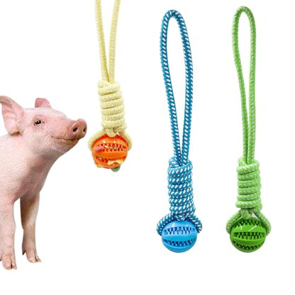 Mini Pig Supplies, 3 Pack Treat Dispenser Ball Toys for Pigs, Plastic Food Foraging Ball with Rope for Pigs, Pig Toys for Pet Pig