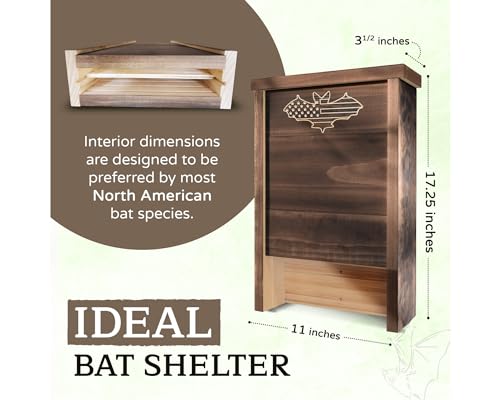 Made in USA- Brown Stained Pine Bat House, 2 Chamber Bat Box, Easy-to-Install Wooden Bat House Kit, Weather-Resistant Bat Houses for Outdoors, with Mounting Screws - Applewood Outdoor - style: 2 Chamber Brown