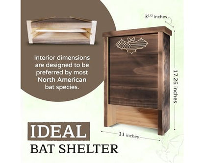Made in USA- Brown Stained Pine Bat House, 2 Chamber Bat Box, Easy-to-Install Wooden Bat House Kit, Weather-Resistant Bat Houses for Outdoors, with Mounting Screws - Applewood Outdoor - style: 2 Chamber Brown