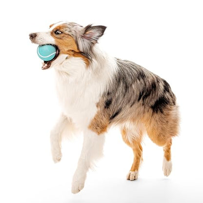 Playology Dog Toys | Squeaky Chew Ball for Large Dogs | Peanut Butter Scented Jumbo Dog Ball | Bouncy Floating Chew Toys for Fetch - size: Jumbo, style: Peanut Butter