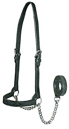 Derby Originals Premium Fancy Stitch Flat Leather Cattle Show Halter – Adjustable Fit with 48" Lead and 14" Chain, Small/Medium/Large – 1-Year Warranty - color: Black, size: Large (950lbs-1500lbs)