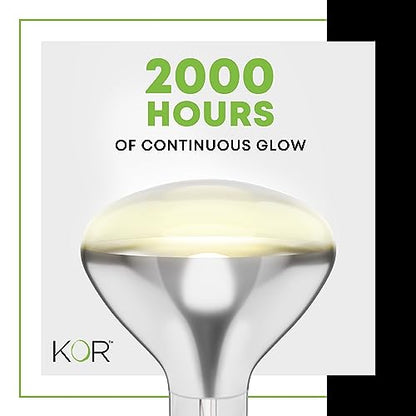 KOR 250 Watt R40 Clear Heat Lamp Light Bulb, Incandescent Reflector, Head Lamp, Heat Flood Lamp Light Bulb, E26 Standard Medium Screw Base, 120V, 2,000 Hour Rated, 2 Pack - color: Clear