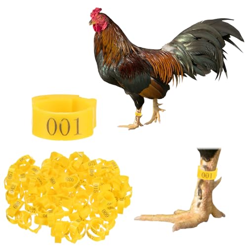 M METERXITY 100-Pack Adjustable Chickens Leg Bands, 17-22 mm Plastic Poultry Identification Chicken Leg Rings for Turkey/Duck/Goose/Chicks, Colorful Numbered Foot Clip on Tags [Yellow] - color: Yellow