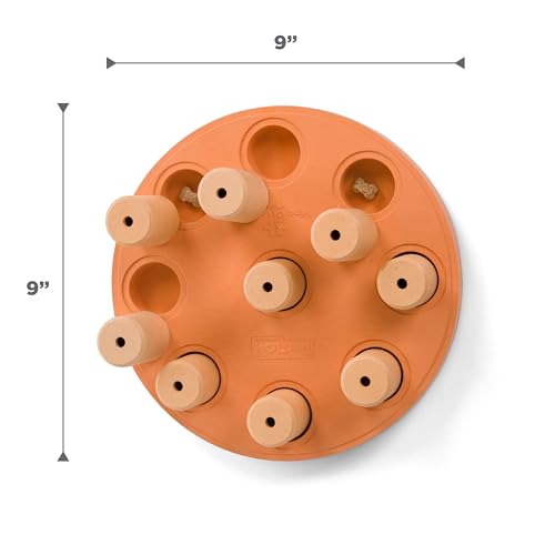 Outward Hound by Nina Ottosson Dog Smart Treat Puzzle Enrichment Toy, Level 1 Beginner, Orange, Composite - color: Dog Smart Composite (Orange)