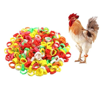 Adjustable Chicken Leg Bands Pack of 100 Chicken Leg Rings Chicken Identification Band with Poultry