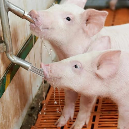 Pig Water Nipple 2Pcs Automatic Stainless Steel Pig Waterer Nozzle Thickened Anti-Splash Piglet Drinking Dispenser Livestock Farm Heavy-Duty Nipple(8X2.6X2CM) - size: 8X2.6X2CM