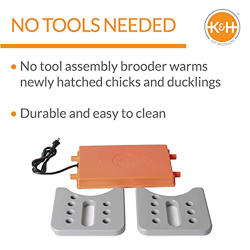 K&H Pet Products Chicken Brooder Heater for Chicks Ducklings, Adjustable Heating Plate for Brooder Boxes, Warms up to 30 Chicks, Chicken Coop Poultry Heating with Safety Light, Large 40 Watts - size: Large 20 X 11.5 X 8 Inches