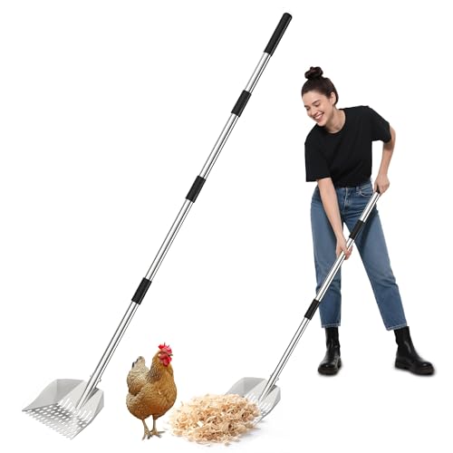 Chicken Poop Scooper: 2-in-1 Rake & Sifter - Silver Chicken Poop Shovel for Sand with Adjustable Stainless Steel Handle (35-59") for Small Spaces