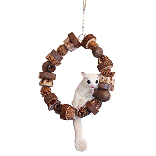 Woodland Hoop - Natural Wood Interactive Hanging Swing Perch Chew Cage Accessory Toy - Sugar Gliders, Parrots, Birds, Degus, Squirrels, Opossums, Marmosets, Rats, Hamsters, Gerbils & Other Small Pets
