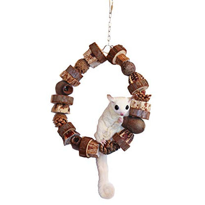 Woodland Hoop - Natural Wood Interactive Hanging Swing Perch Chew Cage Accessory Toy - Sugar Gliders, Parrots, Birds, Degus, Squirrels, Opossums, Marmosets, Rats, Hamsters, Gerbils & Other Small Pets