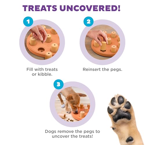Outward Hound by Nina Ottosson Dog Smart Treat Puzzle Enrichment Toy, Level 1 Beginner, Orange, Composite - color: Dog Smart Composite (Orange)