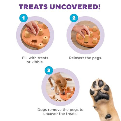 Outward Hound by Nina Ottosson Dog Smart Treat Puzzle Enrichment Toy, Level 1 Beginner, Orange, Composite - color: Dog Smart Composite (Orange)