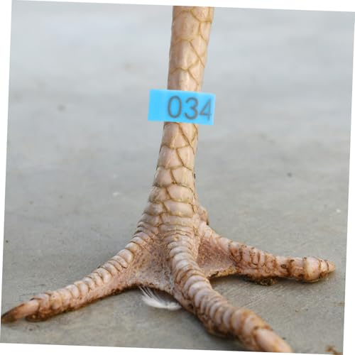 UPKOCH 120pcs Numbered Chicken Leg Bands Poultry Identification Rings for Efficient Tracking of Chickens Ducks Geese Boost Farm Management Productivity