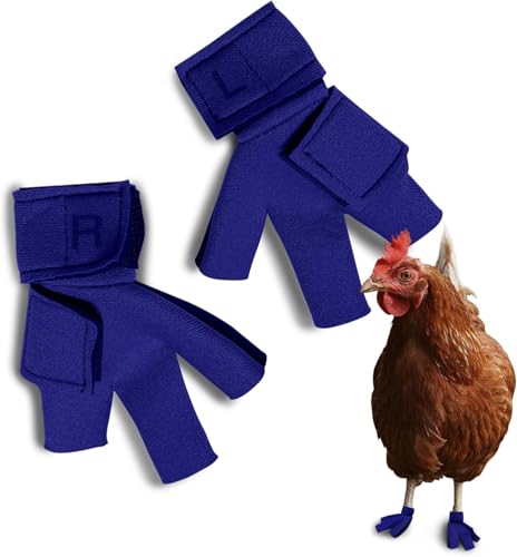 Chicken Shoes for Injured Feet – Protective Neoprene Footwear for Chicken, Open-Toe Design for Bumblefoot Relief, Made in USA (Chicken Shoes, Royal Blue, Medium Chickens) - color: Royal Blue