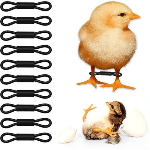 Chicken Leg Bands 400 Pcs Baby Chicken Splay Leg Hobble Brace Adjustable Poultry Bands for Newborn Spraddle Chick Bird Quails Ducks
