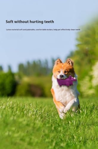 Latex Wild Boar Squeaky Dog Toy, 18x7cm Durable Chew Toy for Medium and Large Dogs, Funny Animal Sound for Stress Relief and Oral Care (Purple)
