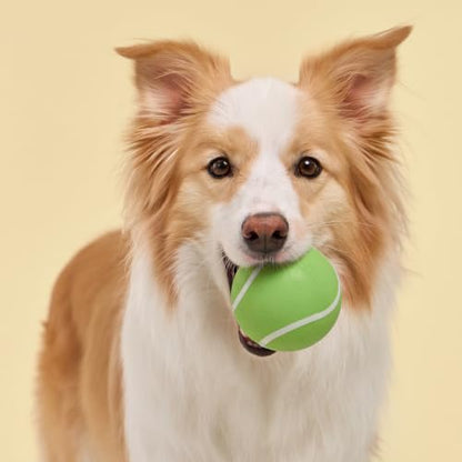 Playology Dog Toys | Squeaky Chew Ball for Large Dogs | Sweet Potato Scented Jumbo Dog Ball | Bouncy Floating Chew Toys for Fetch - size: Jumbo, style: Sweet Potato