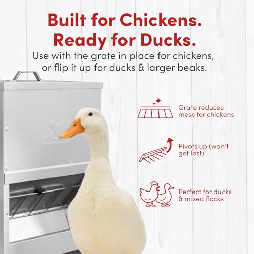 RentACoop Metal Trough Feeder with Lid & Rain Cover – Galvanized Steel, Gravity-Fed, Side View Window, Adjustable Grate for Easy Cleaning – Suitable for Chickens, Ducks, Poultry & More – 25lb Capacity - size: 25LB Capacity