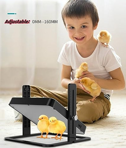 Brooder Heater for Chicks with Easy- Cleaning Chick Brooder Heating Plate, Poultry Coop Heater Chicks with Adjustable Height Brooding Heater 45°C-70°C (Black)