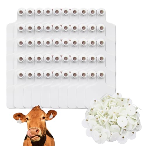 Blank Cattle Ear Tags 100 Pieces TPU Large Livestock Ear Tags Customized Identification Blank Tags for Sheep Cattle Calf Hog (White) - color: White
