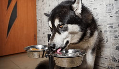 2-Pack Stainless Steel Dog Bowls 8 Cups (1.9L), Durable Metal Pet Food & Water Dish for Medium to Large Dogs – Rust-Resistant - color: Double Pack, size: 8 cup (Standard)