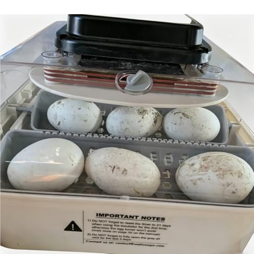 Extra Large Egg Basket for Maticoopx 30& Kufika 24 Incubator – Holds Large Turkey, Goose & Peafowl Eggs (Up to 2.5”), Replacement Tray Insert for Automatic Egg Turner (2 Blue Egg Baskets) - color: 2 blue egg baskets