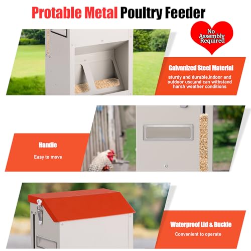 10LB Wall Mount Chicken Feeder, Hanging Poultry Food Dispenser No Waste No Spill for Chickens Ducks Coop Supplies (No Assembly)