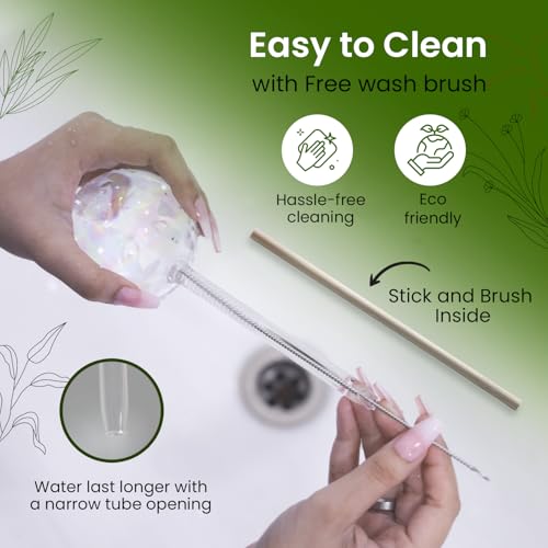 Iridescent Self Watering Globes, Glass Rainbow Plant Watering Globes, Self Watering Planter Insert, Automatic Plant Waterer Indoor (Large-6 Pcs Iridescent, Large) - color: Large - 6 Pcs (Pack of 1)