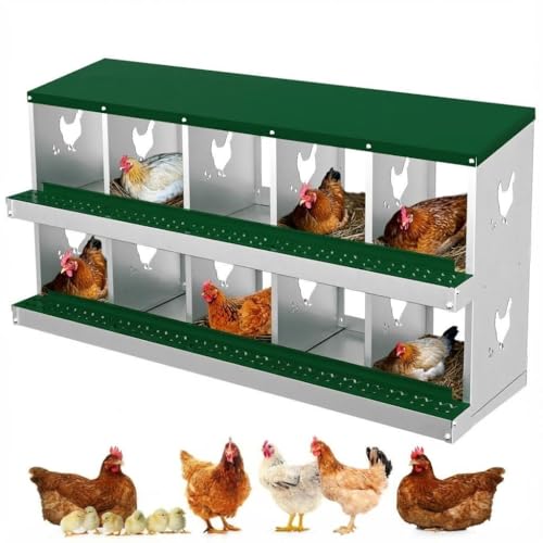 Chicken Nesting Box,10 Holes Galvanized Steel Metal Chicken Laying Box with Automatic Roll-Away Egg Collection System & Removable Tray,Wall Mount Nesting Boxes - color: Green, size: 10 Holes