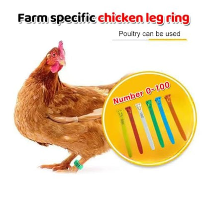 Adjustable Chicken Leg Bands 500Pcs Adjustable Chicken Leg Bands, 5-Color Reusable Poultry Marking Rings for Flock Tracking & Management, Durable(White) - color: White