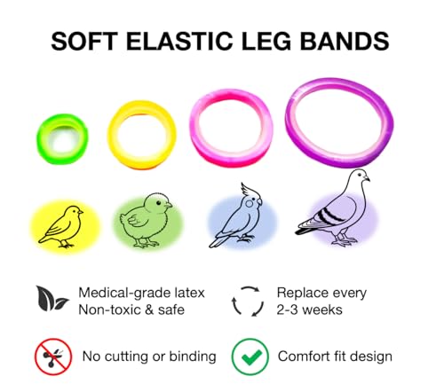 100PCS Baby Poultry Leg Bands, Soft Elastic Chicken Leg Rings for Identification, Comfort Fit for Chicks Ducklings Bantams Pigeons Parrots Canaries and Small Birds (Large (Size 5) 5/16”) - size: LARGE (Size 5)5/16”