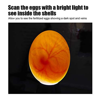 Egg Candler, Cool Light Portable Egg Candling Lamp with High Intensity Light for Chicken, Goose, Duck, Eggs, Incubation Learning (Red) (Blue (0.6mm Thickness)) (Black)