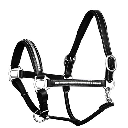 Exion Luxury Leather Horse Halter with Clincher Studs– Comfort Padded Anatomical Crown & Noseband– Quick-Release Snap Throat Latch– Vegetable Tanned Leather in Black/Brown - color: Black, size: Warm Blood (Over Size)
