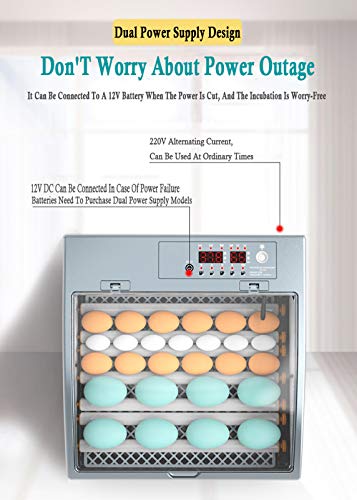 Egg Incubator with Automatic Egg Turning and Humidity Control, Incubator Small, Poultry Hatcher with Digital Display for Chickens Ducks Goose Others, Built-in Egg Candler - color: 36 Eggs Single Power Supply